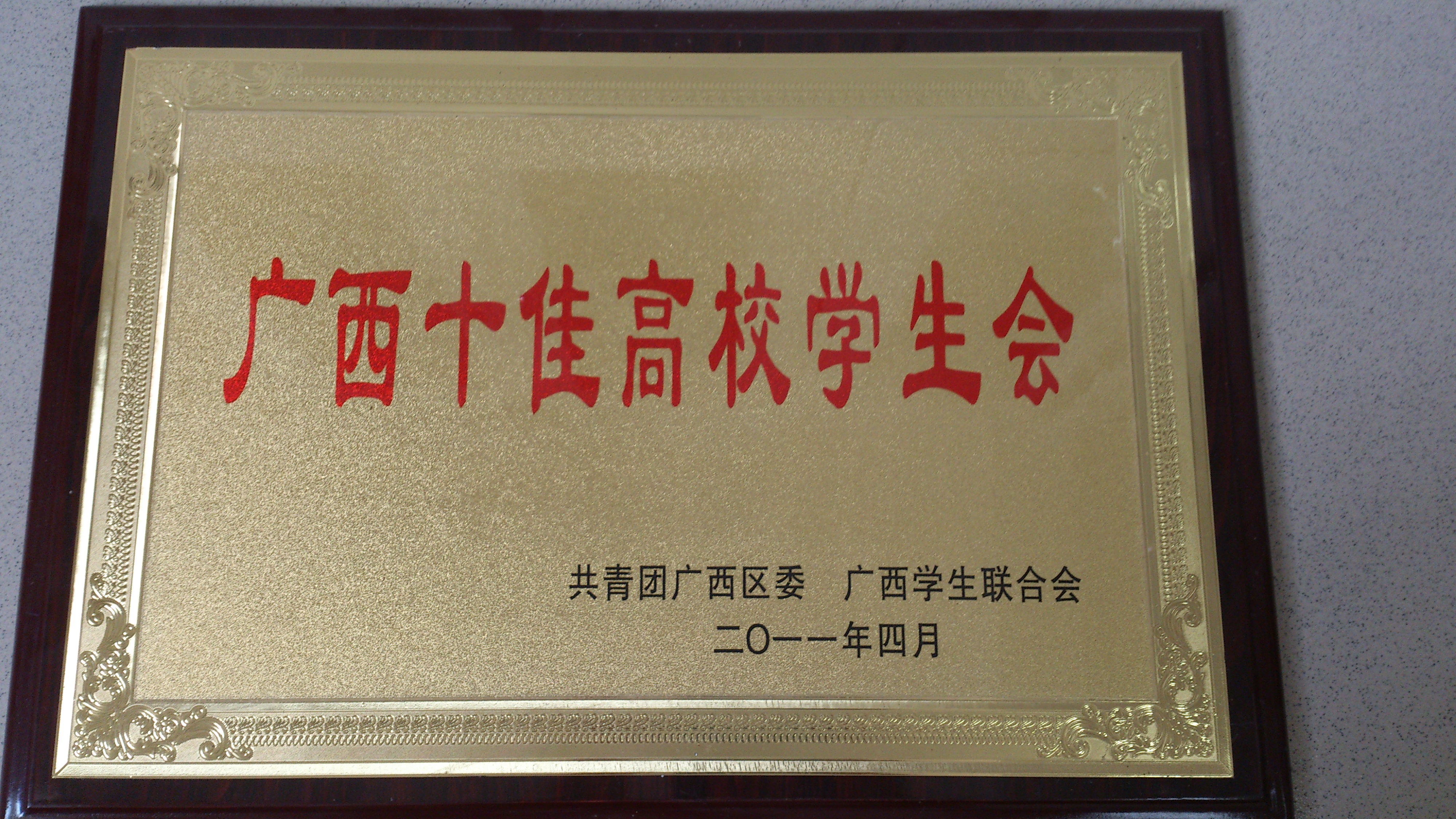 广西十佳高校学生会 2011年  自治区级
