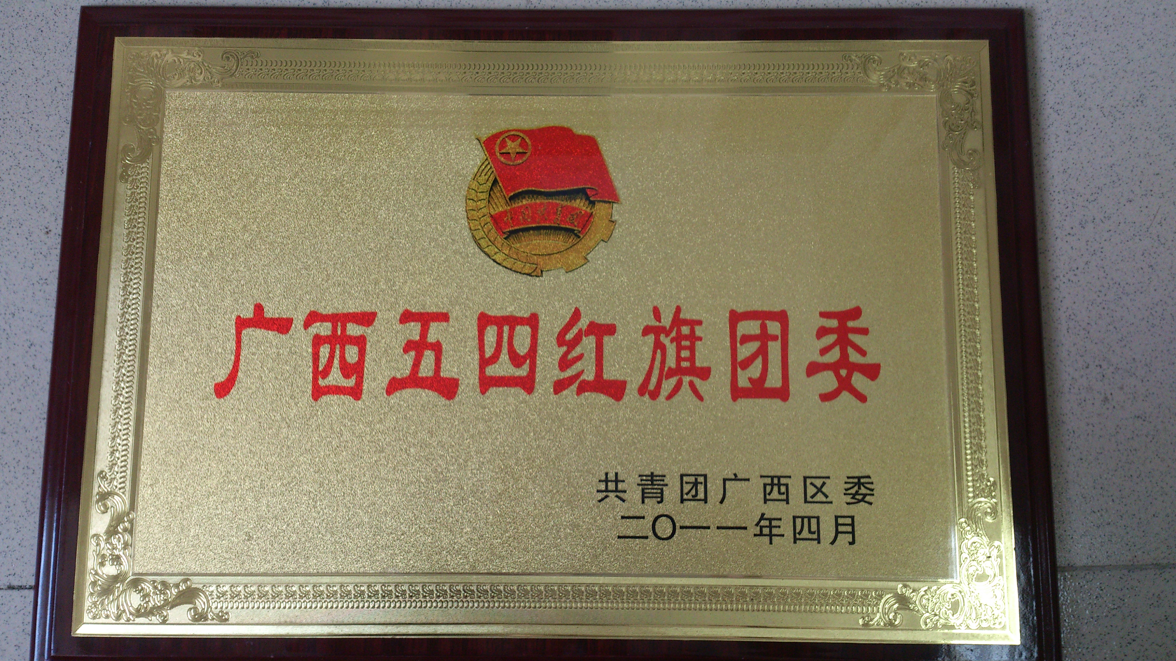 2011年 自治区级 广西五四红旗团委